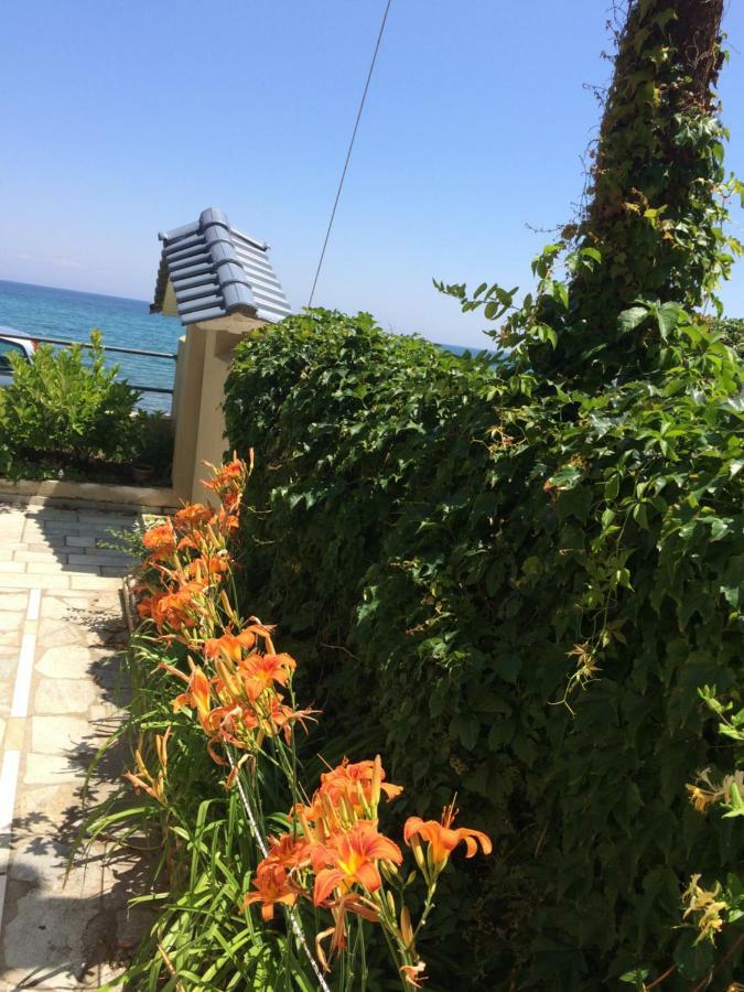 Aegean Blue Villa Platamonas Exteriör bild